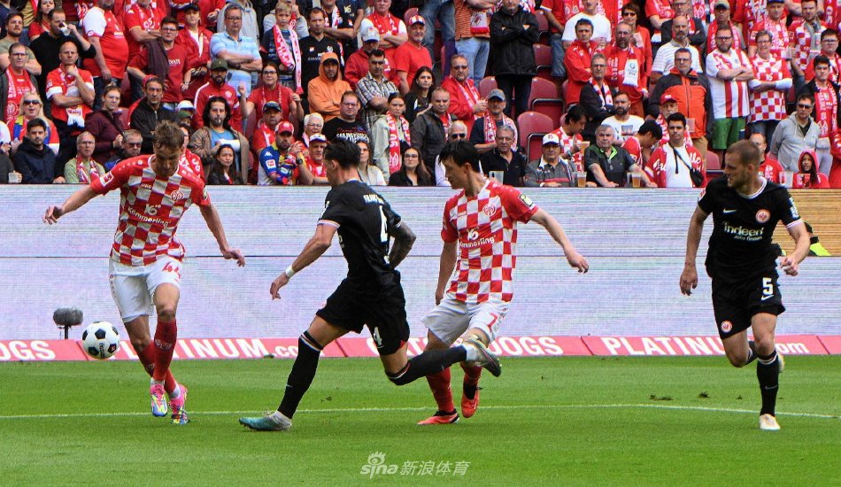 并非一夜养 并非一夜养