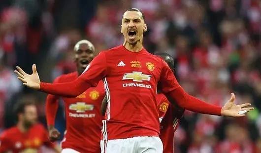 案例对照 案例对照